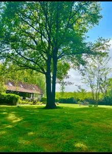 The cave - Sint-Denijs-Westrem