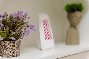 NEW Luxury City Center Studio