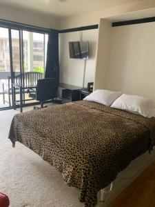 Lucys Place -STUDIO Apt with air-conditioning, Murphy bed