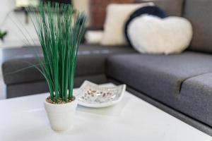 Apartments with parking space Vela Luka, Korcula - 20932