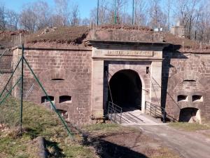 Gîte cosy avec terrasse, proche Épinal, golf et lac, pour 6 pers, toutes commodités incluses - FR-1-589-430