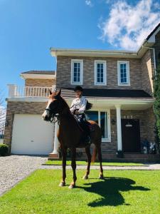 干城小鎮民宿-包棟-寵物友善