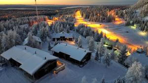 Rukan Tunturipöllö