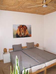 Dar Makai Surf Hotel - Ubytování bez kategorie ve městě Tamraght Ouzdar