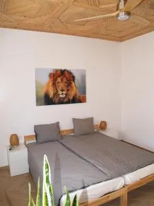 Dar Makai Surf Hotel - 塔姆拉赫特乌兹达尔