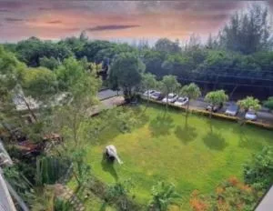 午玥海灘-曼波館 - Shun-an-ts'un (1)