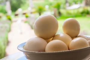 Bakenskraal Ostrich Palace