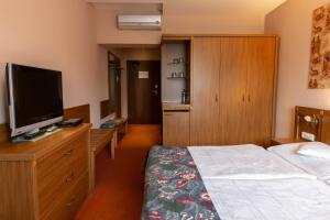 Double Room room in Hotel Max Inn