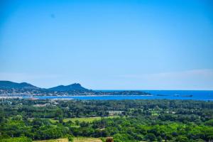 Esprit du Sud Mascolo