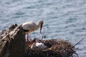 Refúgio do Almograve