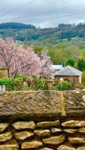 Chapel Row Cottages 5