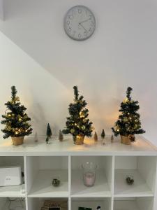 Flowery Penthouse in city centre of Thessaloniki