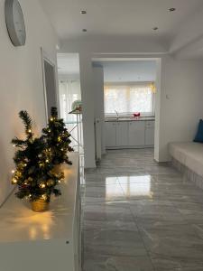 Flowery Penthouse in city centre of Thessaloniki