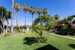 Finca la Gaviota - Terazza