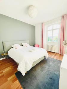 Appartements Reims CATHEDRALE JACUZZI LUXURIOUS PROPERTY : photos des chambres