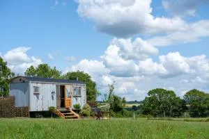 Honey Bee - Comfortable luxury shepherds hut with hot tub - Bradpole