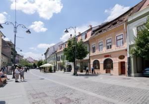 Folkloric loft - Ulita Romaneasca (green)