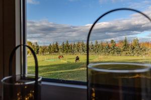 Ferienwohnung Harzliebe - am Fuße des Brocken