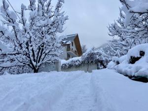 The Wooden Chalet, Manali