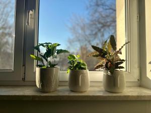 Smart Apartment Warsaw