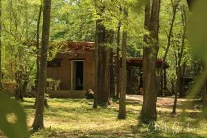 Complejo Tiú Mayú - Colonia Hogar