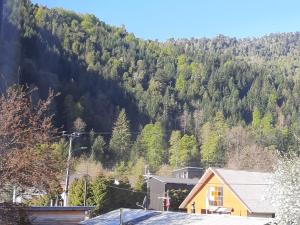 Cabañas Raulies, Neltume.