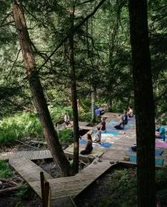 Auberge Yoga Salamandre - Waterloo