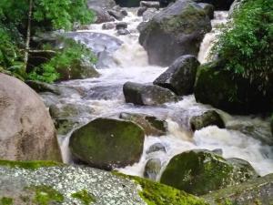 Pousada Recanto do Tortuga - Paraiso das Cachoeiras