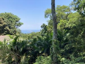 Paradise in Rio