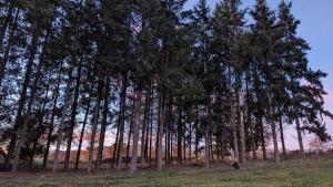 Gîte létang des Soays, étang de pêche privé