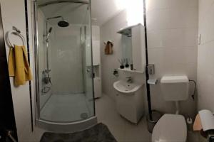 Sofias Home Comfy Studio in the Old Town Brasov