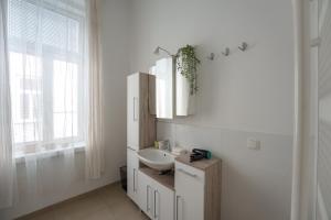 Vienna City Apartment 1020 Vienna