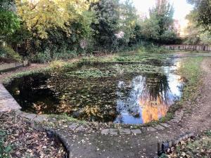 Flat in blue plaque building