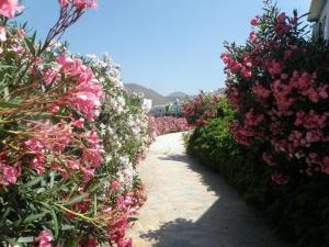 Hotel Filoxenia Amorgos Greece