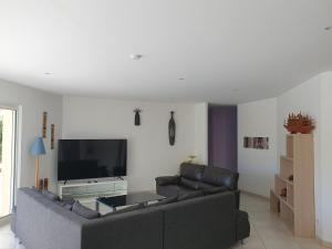Villas villa 15 personnes avec piscine et terrain de petanque : photos des chambres