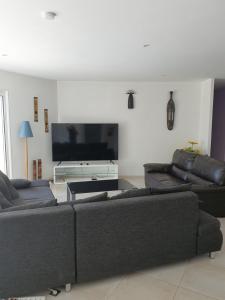 Villas villa 15 personnes avec piscine et terrain de petanque : photos des chambres