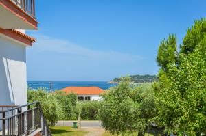 Pension Assos Thassos Greece