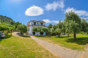 Pension Assos - 基尼拉