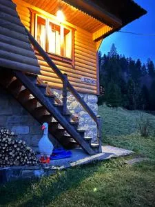 Буковик - تاتاريف