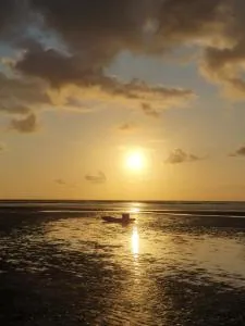 Casa Sirius de Japaratinga - Barreiras