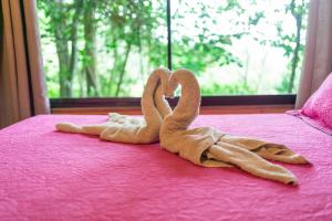 Cabaña La Montaña: Vistas increíbles y Mirador