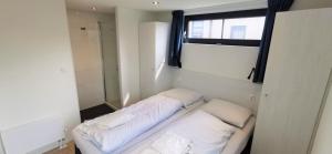 Enkhuizer Strand Cube Elite Estel mit Dachterrasse und Zaun Haus Nr 337