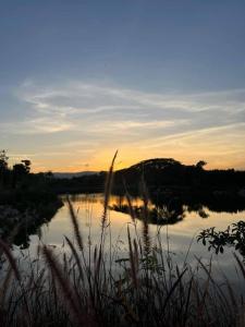 Athena Glamping Khaoyai