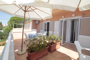 Studios & Rooms Fiesta 