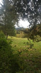 HCT Sinaia Apartment