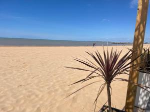 Hotels Acadie Saint Victor - Hotel restaurant - Face mer - Chatelaillon plage : photos des chambres