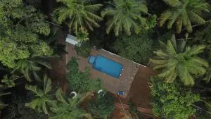 Paddyfield Inn - Thirunelli