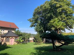 Appartement T2 rez de chaussée villa Les Tamaris Aix-les-Bains