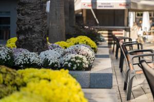 Hostal Antiguo Palacio Hotel París