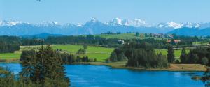 Urheim Rose - Dogfriendly